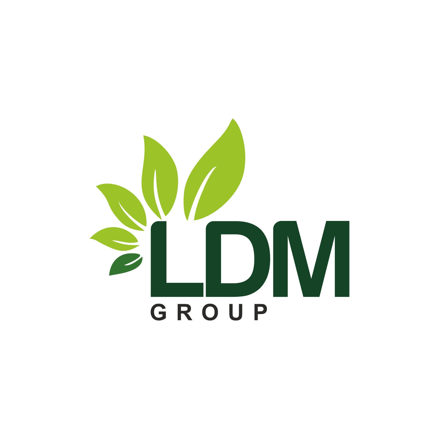Logo 31